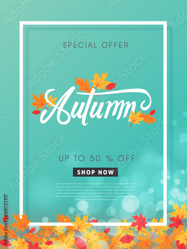 Autumn sale background layout decorate with autumn leaves for shopping sale or promo poster and frame leaflet or web banner.Vector illustration template.