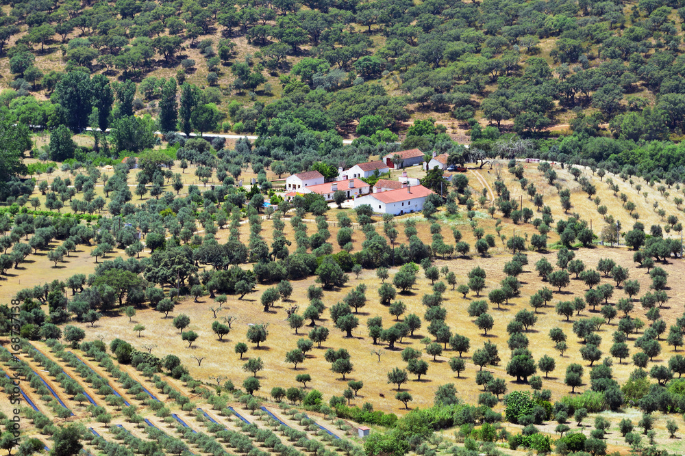 Rural landscape. Portugal