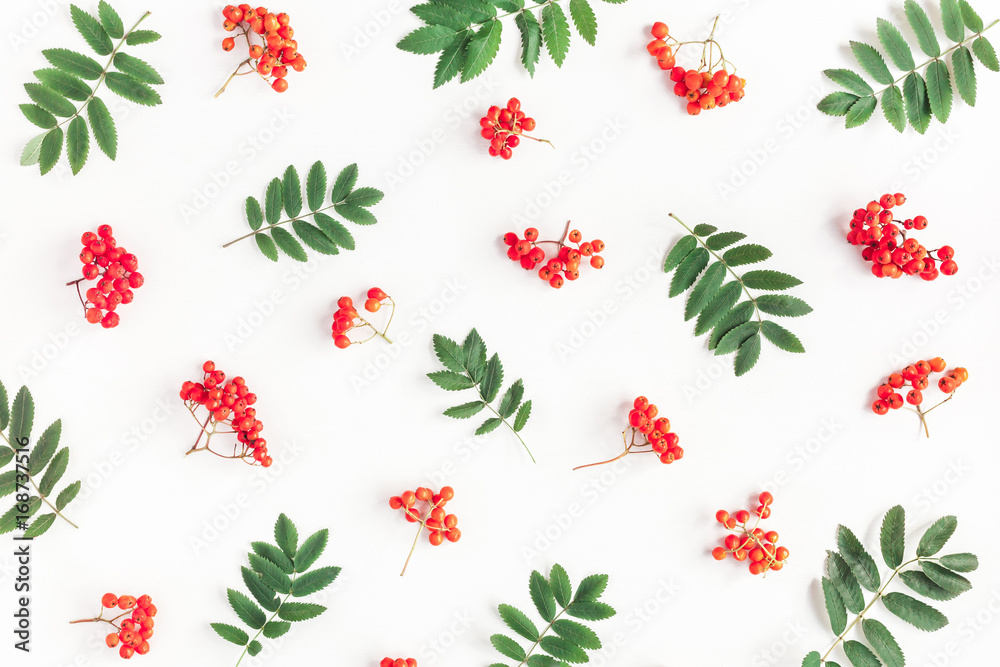 Autumn composition. Pattern made of rowan berries on white background. Autumn, fall concept. Flat lay, top view - obrazy, fototapety, plakaty 