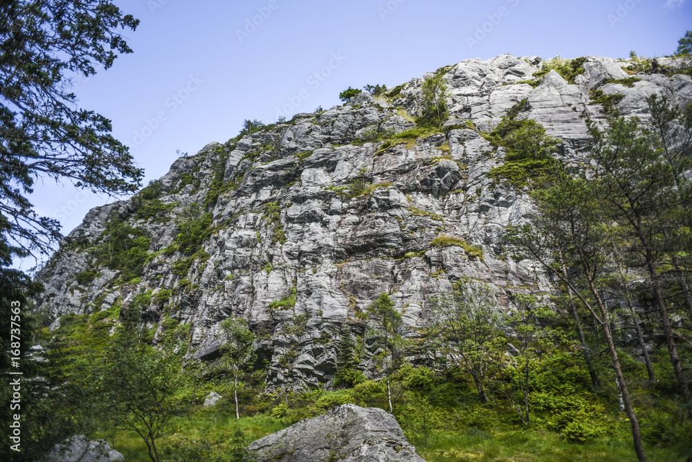 Rock in the forest on a sunny summer day in Bergen, Norway. Rock in the forest on a sunny summer day in Bergen, Norway.