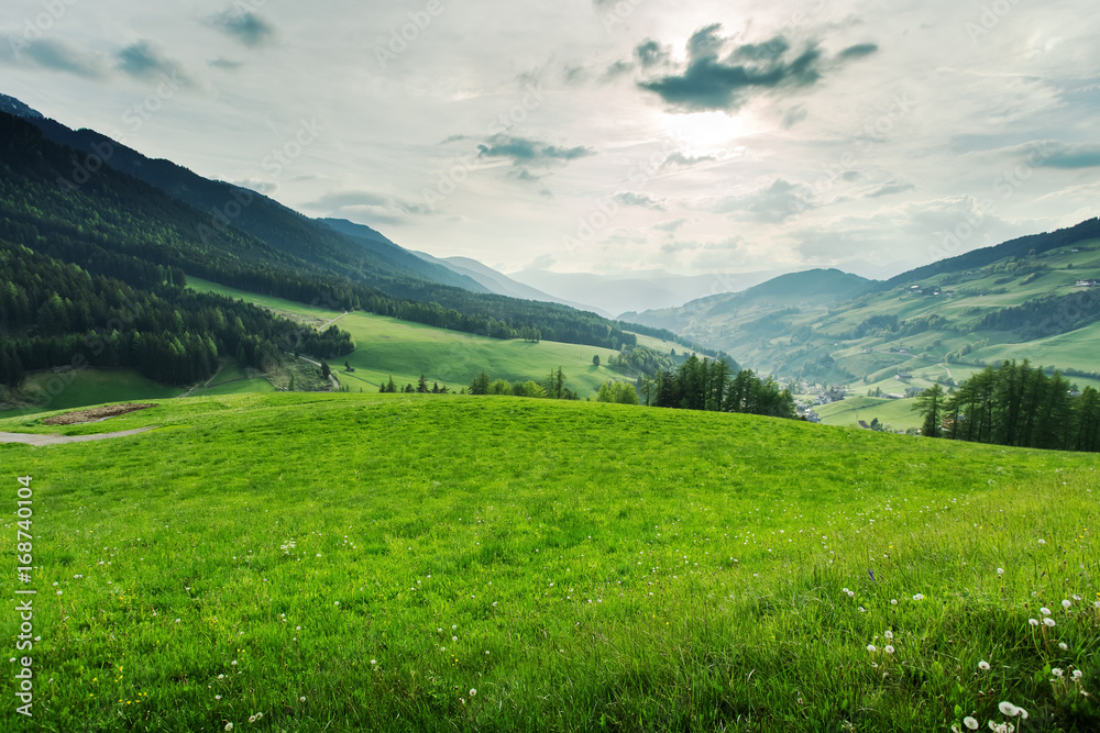 Beautiful green meadow at summer. Nature landscape