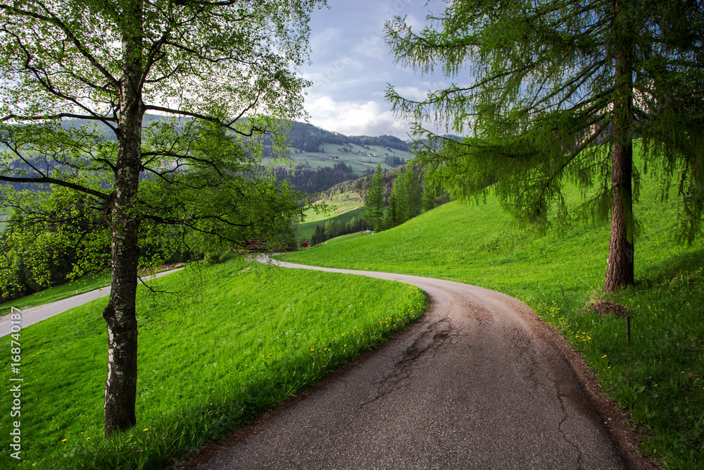 Beautiful green meadow at summer. Nature landscape