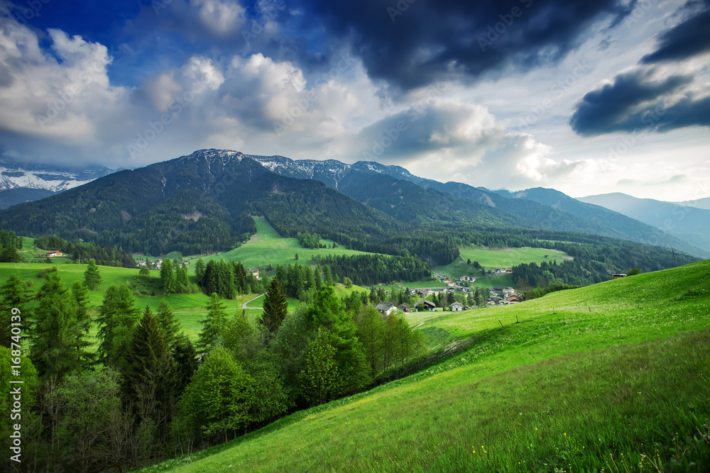 Beautiful green meadow at summer. Nature landscape