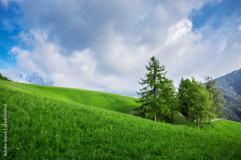 Beautiful green meadow at summer. Nature landscape Beautiful green meadow at summer. Nature landscape