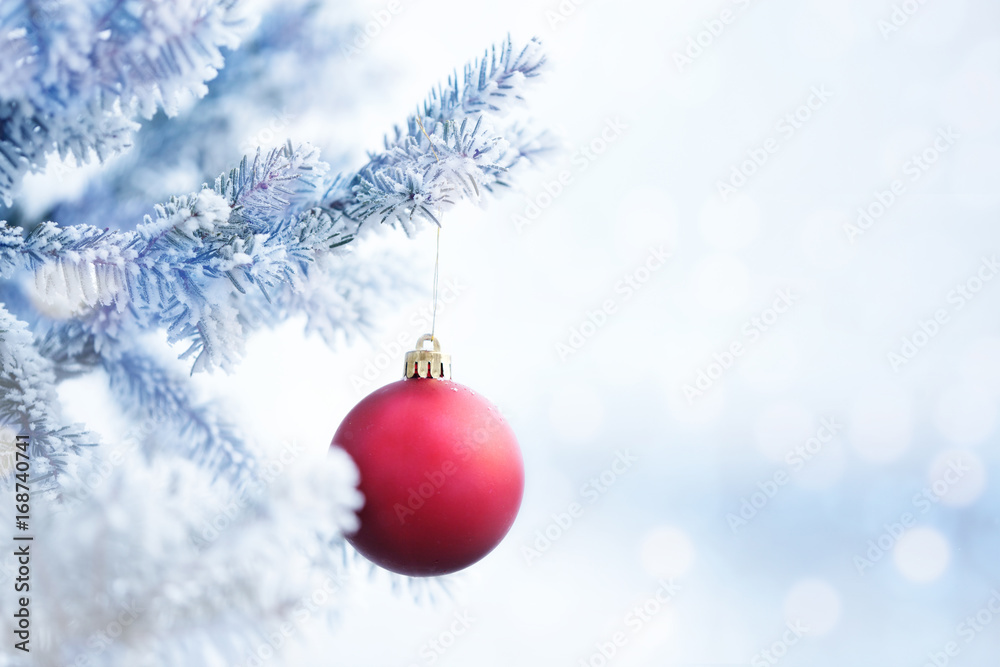 Red Christmas Ball Hanging on a Snow Tree Branch Red Christmas Ball Hanging on a Snow Tree Branch