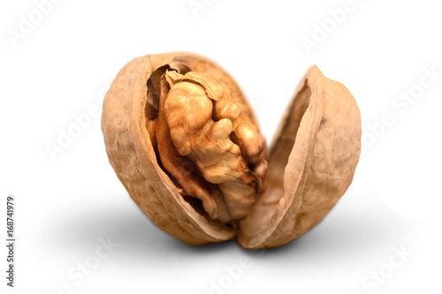 Walnut.