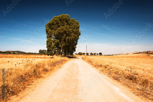 Southern Sardinia Desert Road photo