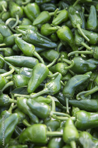 Green Padron Peppers