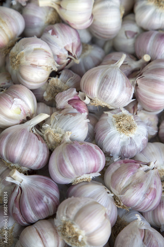 White Garlic Background on Food Market Stall