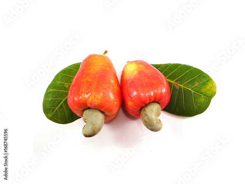 Ripe Cashew fruit on white background, Cashew nut concept