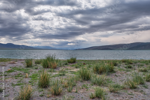 Mongolian natural landscapes with bushes of grass Achnatherum near lake Tolbo-Nuur in north Mongolia
