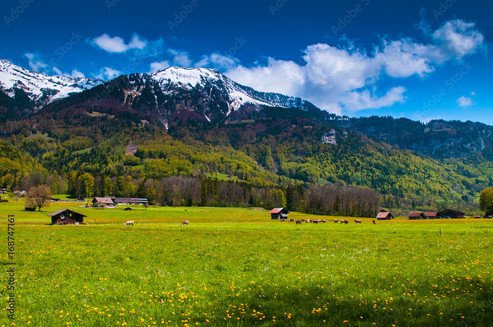 Obraz premium Farm in Ballenberg, Brienz, Swistzerland.