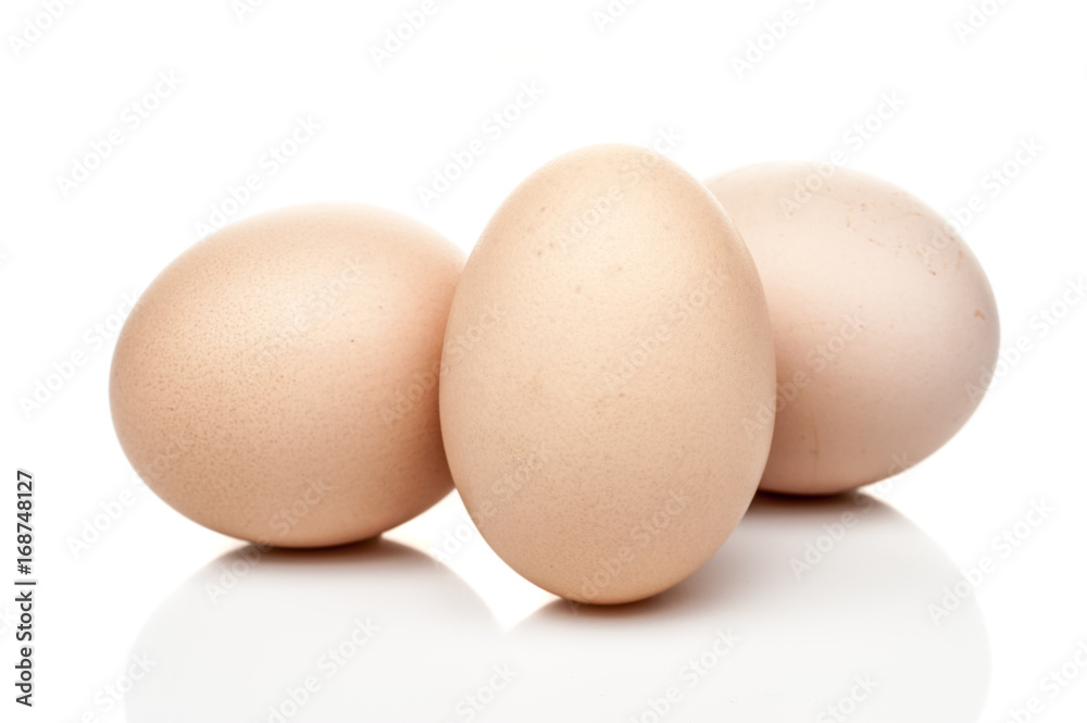 chicken eggs standing isolated on white background chicken eggs standing isolated on white background
