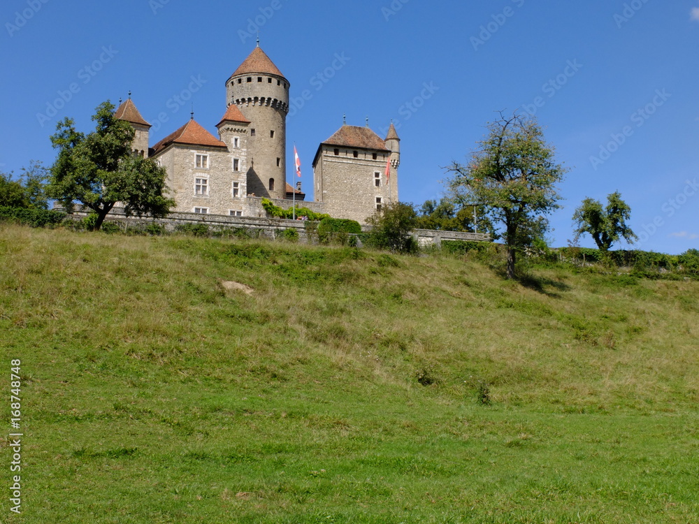 Château de MONTROTTIER-74330 Lovagny