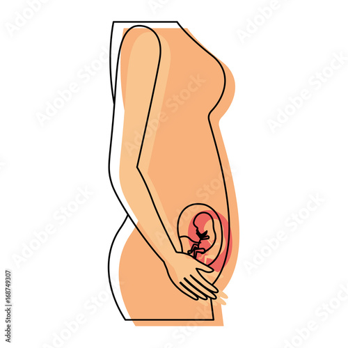 watercolor painted silhouette of side view pregnancy process in female body fetus human growth a few weeks