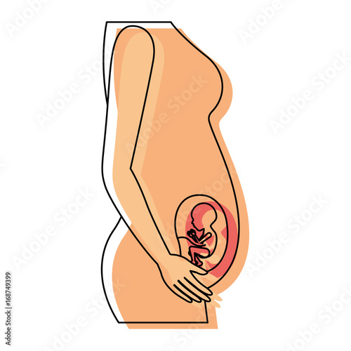 watercolor painted silhouette of side view pregnancy process in female body fetus human growth semestrer