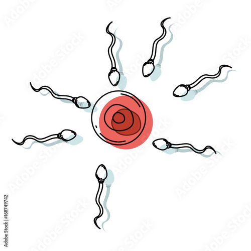 watercolor painted silhouette of arrival of the spermatozoa to the ovule
