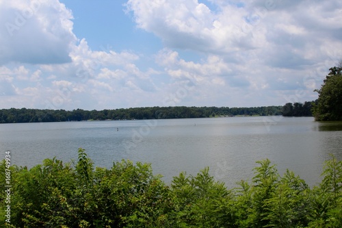  A view of the lake from the lakeside shore.