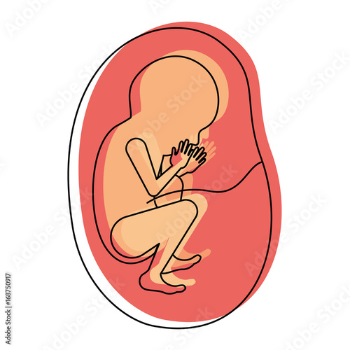 watercolor painted silhouette of side view fetus human growth in placenta ninth month