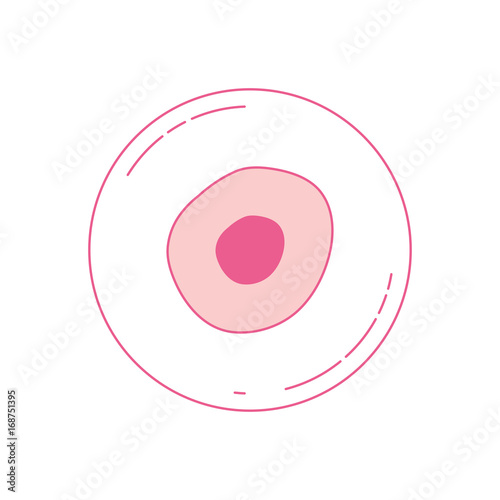 pink silhouette of front view ovum photo