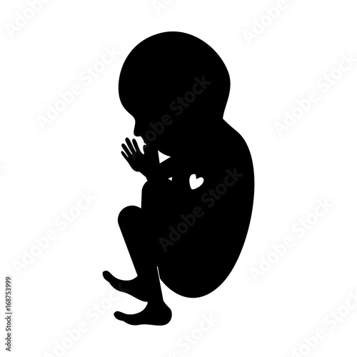 black silhouette of side view fetal growth a ninth month