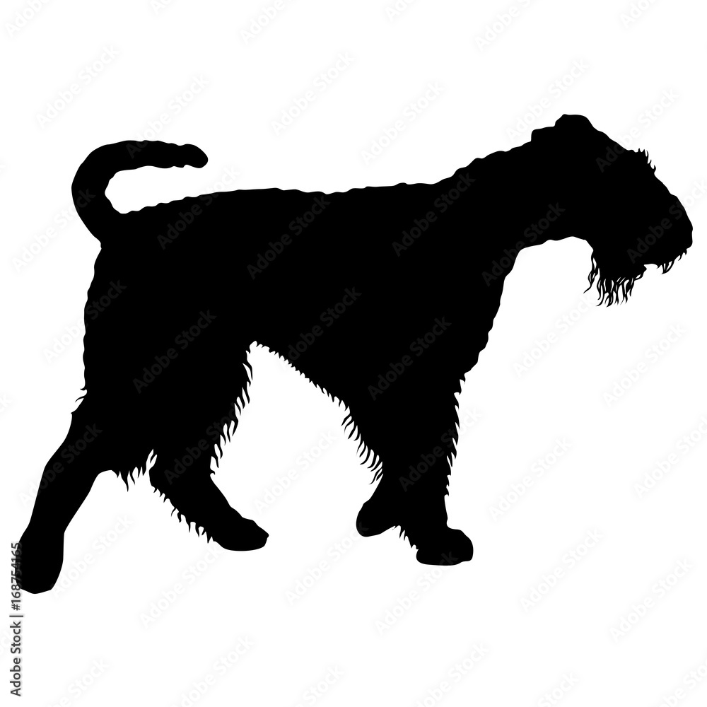 Airedale terrier dog silhouette on a white background