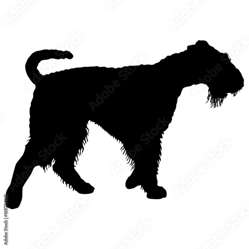 Airedale terrier dog silhouette on a white background
