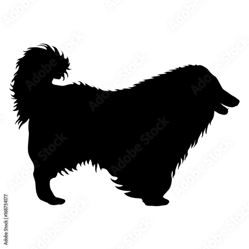 Airedale terrier dog silhouette on a white background