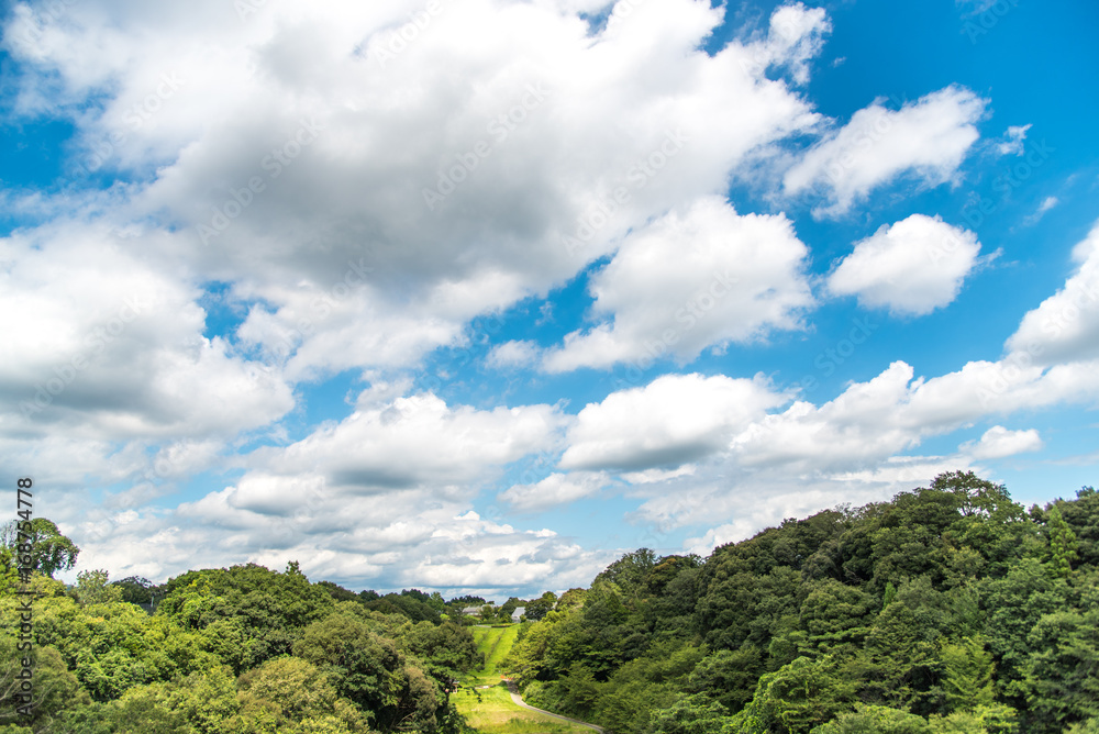 田舎の風景