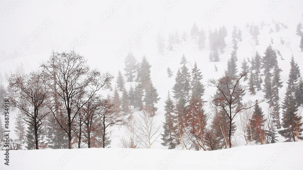 Fototapeta premium Snowy field in the mountain