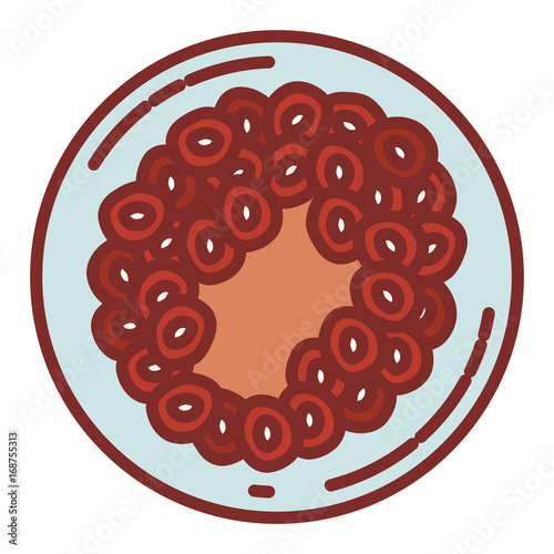 color silhouette with thick contour of front view division of the ovule in several cells forming a life