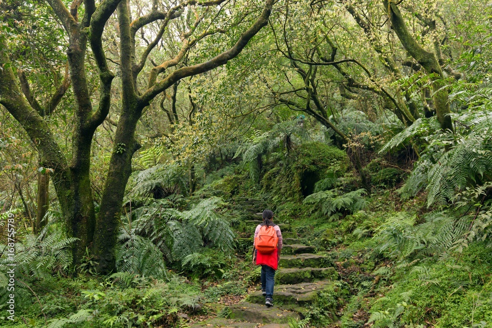 Woman trekking in green suntropical forest