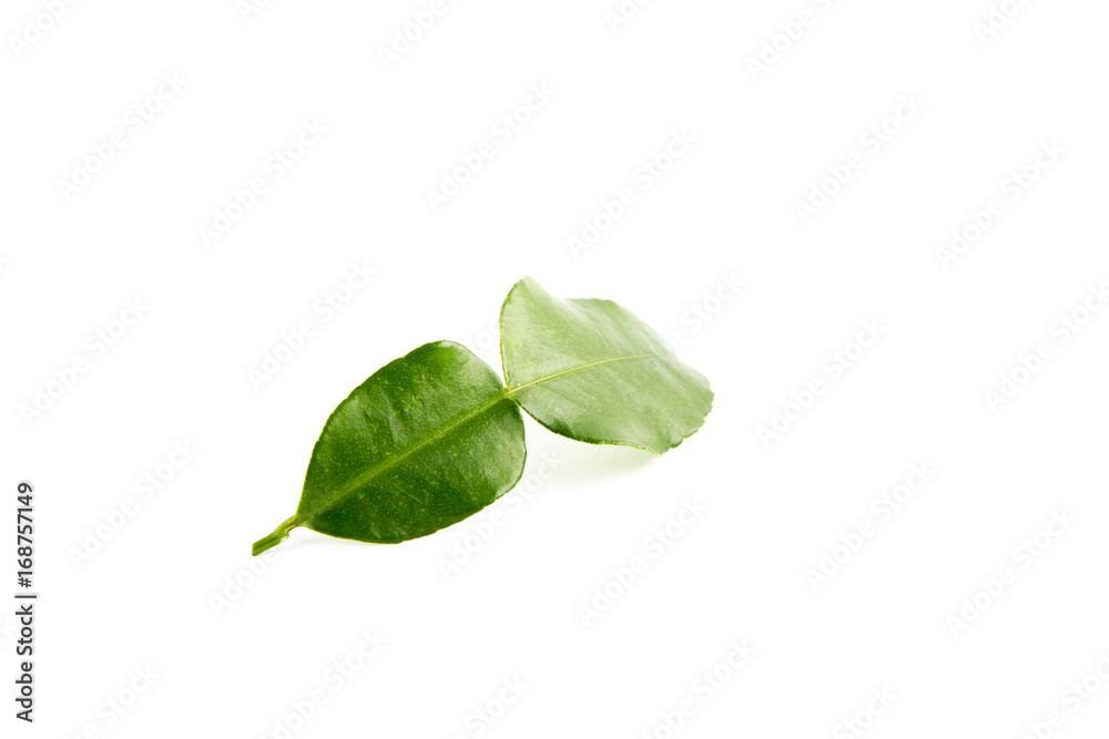 Obraz premium bergamot leaf on the white background