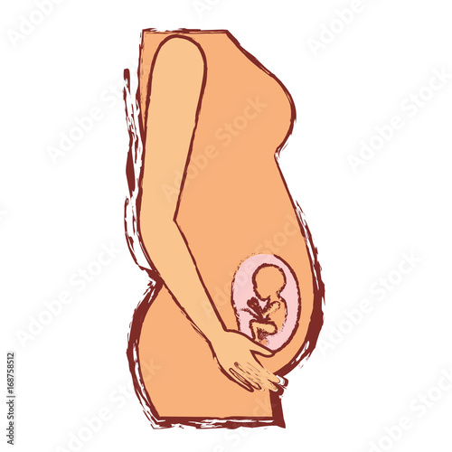 color silhouette with blurred contour of side view pregnancy process in female body fetus human growth semestrer