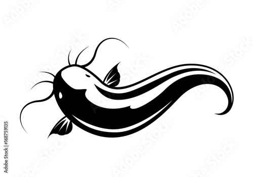 graphic catfish on white background, vector