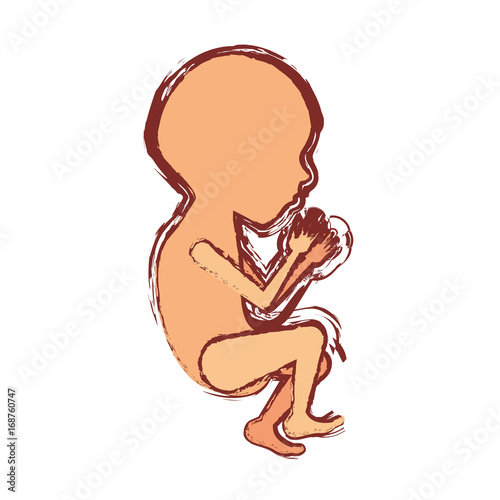 color silhouette with blurred contour of side view fetal growth a semestrer