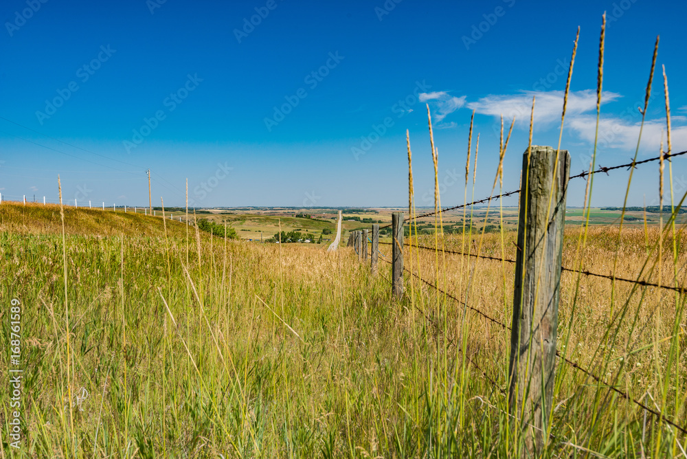 Obraz premium Fence and Grass Along Highway