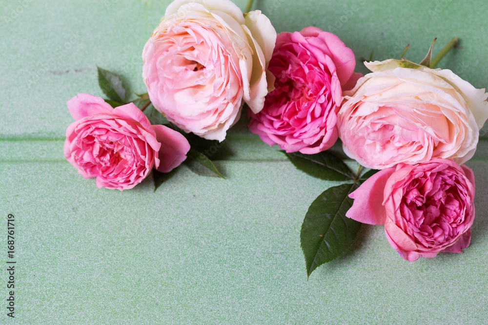 Fototapeta premium Frame from pink and white roses on green wooden background.