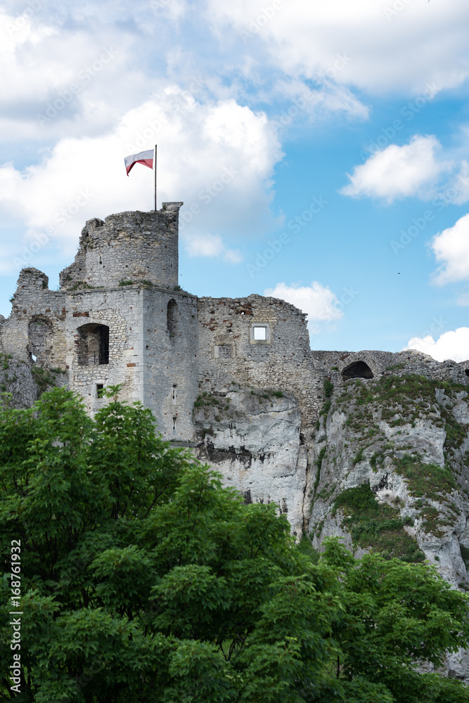 Photography of Ruins Ogrodzieniec Castle at sunny summer day. Poland Ogrodzieniec city