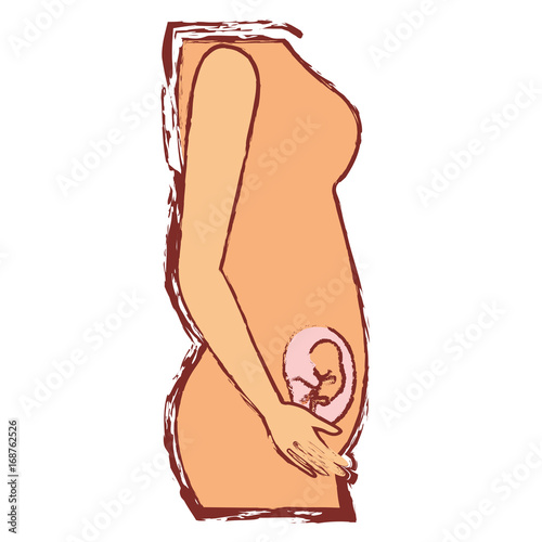 color silhouette with blurred contour of side view pregnancy process in female body fetus human growth a few weeks