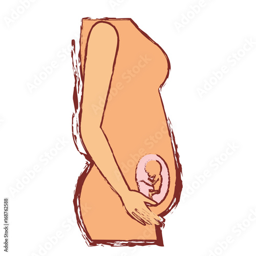 color silhouette with blurred contour of side view pregnancy process in female body fetus human growth trimestrer