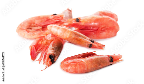 small shrimp