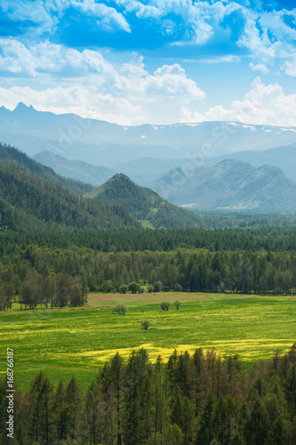 Beauty colors of summer Altai