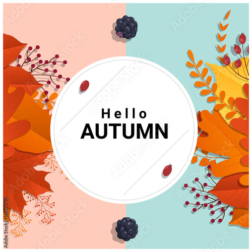 Hello autumn with colorful leaves and fruits background , vector , illustration