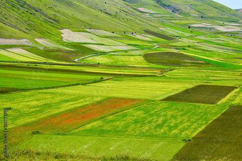 Panorama of sibillini mountains in spring with the flowering of Castelluccio di Norcia in Umbria Italy