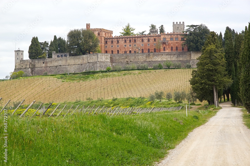 The Castello di Brolio, Gaiole in Chianti, Tuscany, Italy