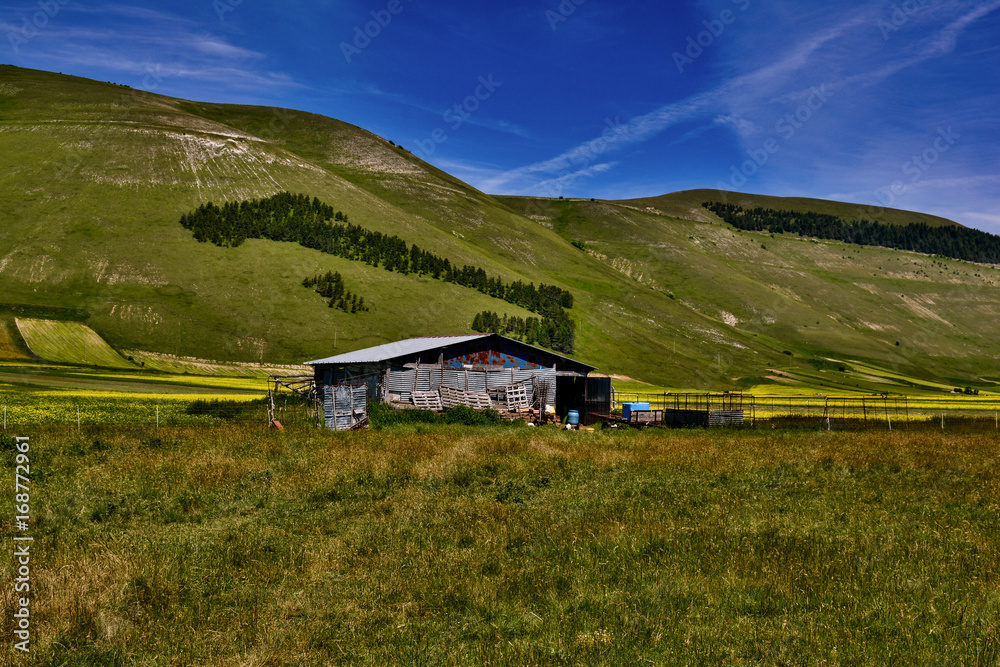 Panorama of sibillini mountains in spring with the flowering of Castelluccio di Norcia in Umbria Italy Panorama of sibillini mountains in spring with the flowering of Castelluccio di Norcia in Umbria Italy
