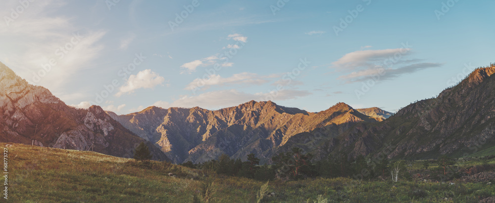 Stunning panoramic scenery or sunset in Altai mountains near Katun river in Kuyus district: distant hills lit by evening sun, meadow with native grasses in foreground, pine and birch trees