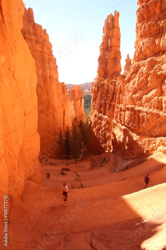 Canyons in Bryce Canyon