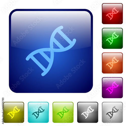 DNA molecule color square buttons